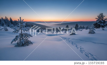雪の降る丘 雪の降る丘 133719193