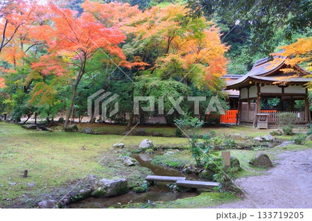 秋の上賀茂神社(渉渓園・京都市) 秋の上賀茂神社(渉渓園・京都市) 133719205
