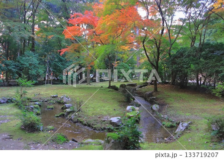 秋の上賀茂神社(渉渓園・京都市) 秋の上賀茂神社(渉渓園・京都市) 133719207