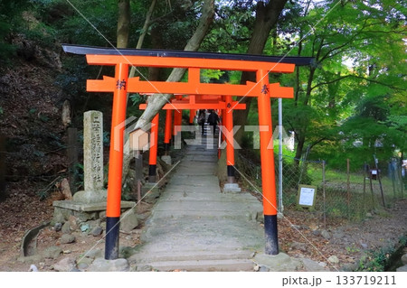 上賀茂神社(二葉姫稲荷神社・京都市) 上賀茂神社(二葉姫稲荷神社・京都市) 133719211