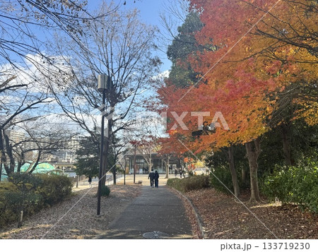 紅葉の公園と散策路の風景 133719230