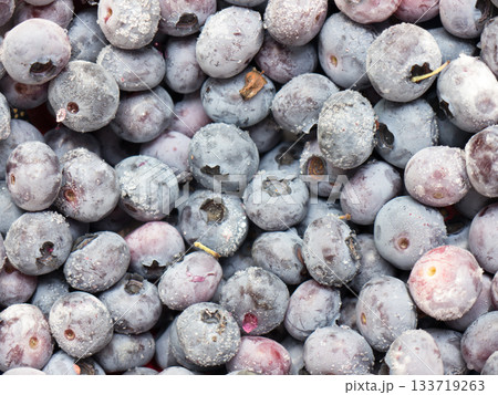 Frozen bog bilberry. 133719263