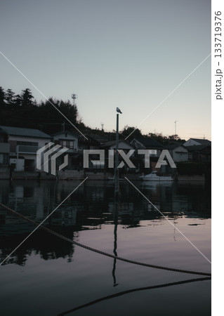 早朝の港と灯台の静かな朝景 133719376