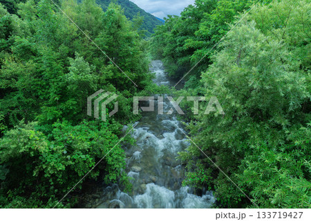 緑豊かな中を流れる川 133719427