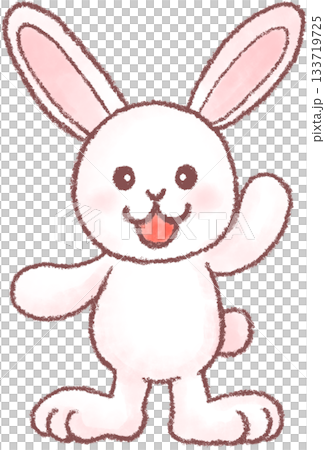 可愛的兔子插圖 133719725