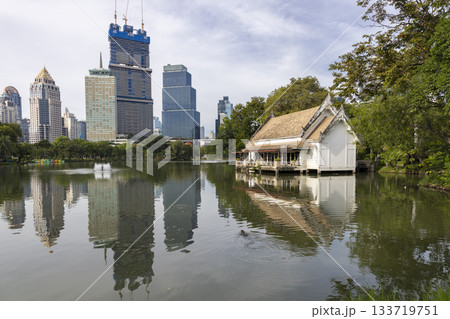 タイ王国バンコクのルンピニー公園と高層ビル群 133719751