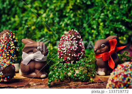 Chocolate Easter eggs with rabbit and egg candies on a wooden table in the yard Chocolate Easter eggs with rabbit and egg candies on a wooden table in the yard 133719772