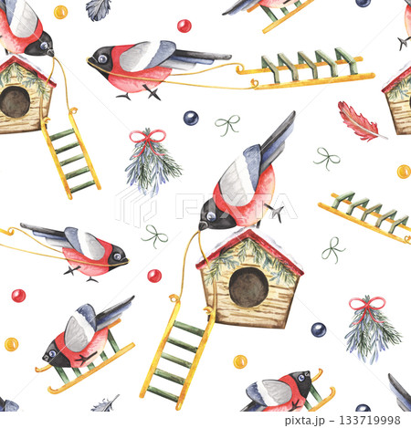 Watercolor winter birds and birdhouses seamless pattern 133719998