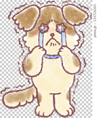 可愛いい犬のイラスト_犬_ 可愛いい犬のイラスト_犬_ 133720201