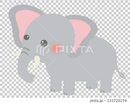 動物_大象 133720259