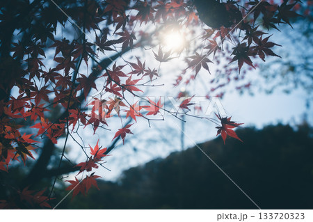紅葉のある風景 紅葉のある風景 133720323