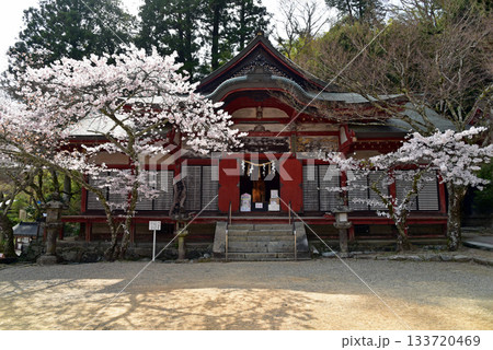 春の談山神社 春の談山神社 133720469
