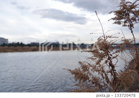 冬の晴れた日の多摩川 133720478