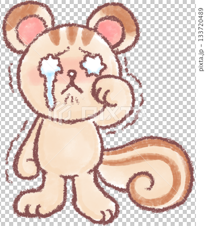 可愛いいリスのイラスト_泣くリスのイラスト 133720489