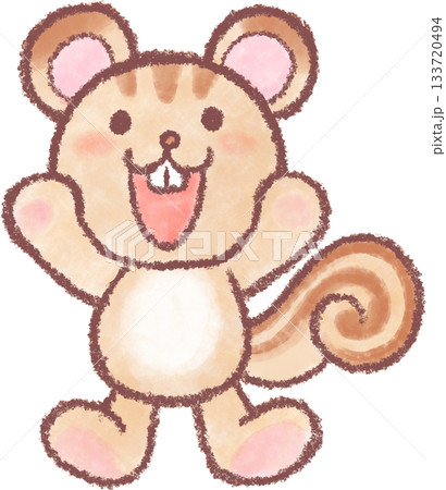 可愛いいリスのイラスト 133720494