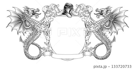 Wyvern Dragon Coat of Arms Crest Heraldic Shield Wyvern Dragon Coat of Arms Crest Heraldic Shield 133720733