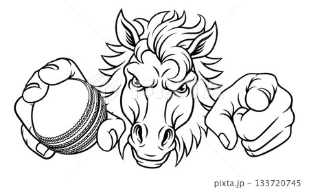 Horse Mustang Cricket Sports Team Mascot 133720745