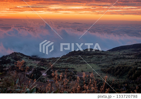 渋峠の雲海と紅く染まる朝焼けの絶景(群馬県中之条町) 渋峠の雲海と紅く染まる朝焼けの絶景(群馬県中之条町) 133720798