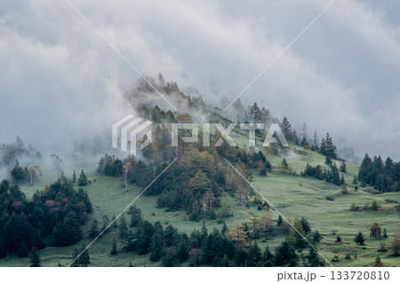 渋峠の霧に包まれる秋の山肌と幻想的な朝の風景（群馬県中之条町） 133720810