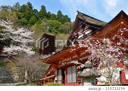 桜に囲まれた談山神社 桜に囲まれた談山神社 133722239