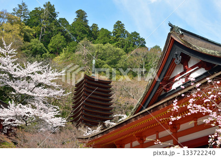桜に囲まれた談山神社 桜に囲まれた談山神社 133722240