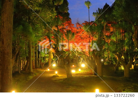 京都の秋(しょうざんリゾート・ライトアップ・京都市) 京都の秋(しょうざんリゾート・ライトアップ・京都市) 133722260