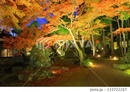 京都の秋(しょうざんリゾート・ライトアップ・京都市) 京都の秋(しょうざんリゾート・ライトアップ・京都市) 133722287