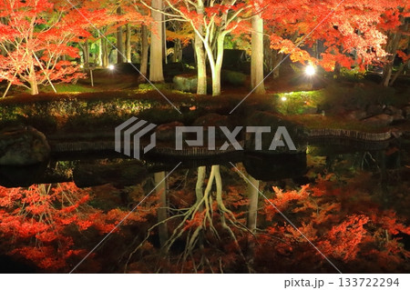 京都の秋（しょうざんリゾート・ライトアップ・京都市） 133722294