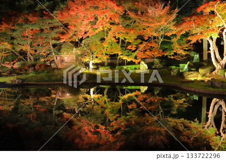 京都の秋（しょうざんリゾート・ライトアップ・京都市） 133722296