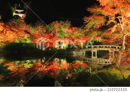 秋の永観堂(放生池・ライトアップ・京都市) 秋の永観堂(放生池・ライトアップ・京都市) 133722320