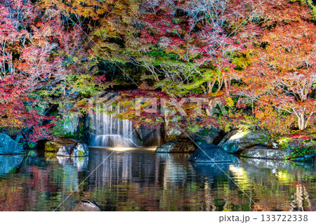 ライトアップされた好古園の紅葉 133722338
