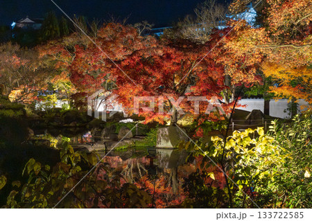 ライトアップされた永観堂の紅葉 ライトアップされた永観堂の紅葉 133722585
