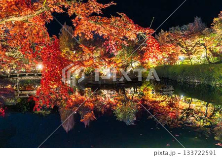 ライトアップされた永観堂の紅葉 133722591