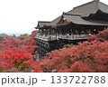 清水寺 133722788