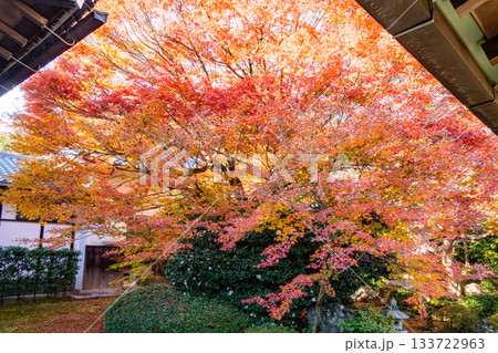 紅葉のある京都の風景 133722963
