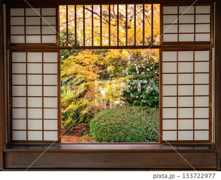 紅葉のある京都の風景 133722977