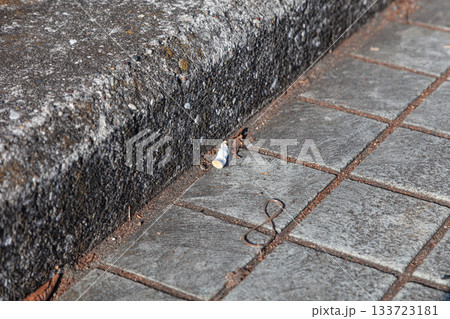 ポイ捨てタバコ ポイ捨てタバコ 133723181