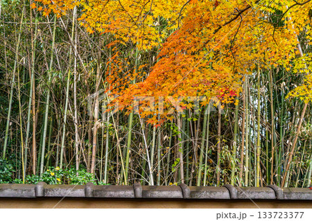 紅葉のある京都の風景 133723377