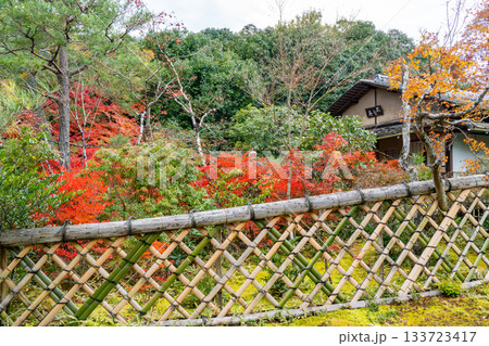 紅葉のある京都の風景 紅葉のある京都の風景 133723417