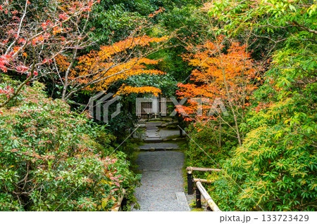 紅葉のある京都の風景 133723429