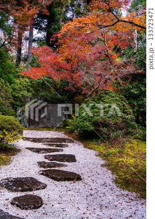 紅葉のある京都の風景 紅葉のある京都の風景 133723471