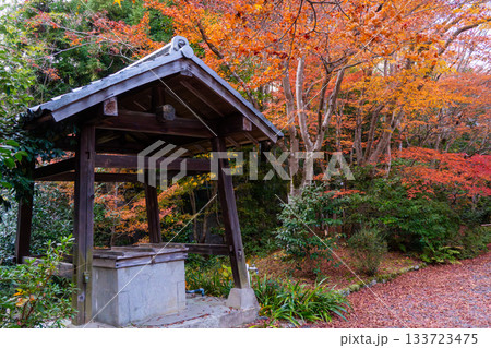 紅葉のある京都の風景 紅葉のある京都の風景 133723475