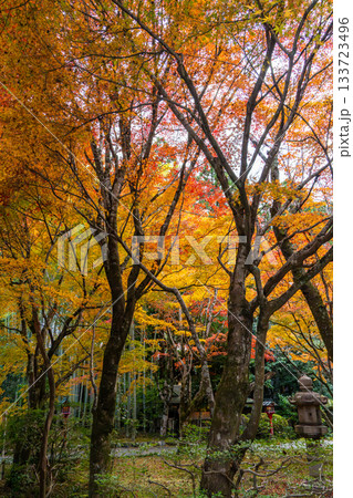 紅葉のある京都の風景 紅葉のある京都の風景 133723496