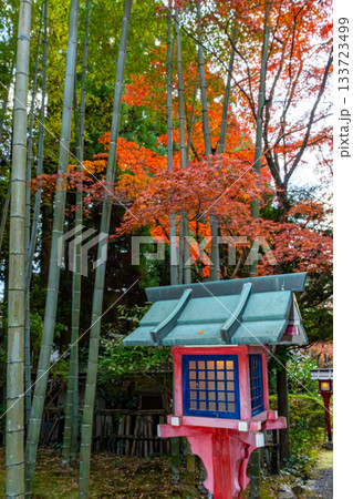 紅葉のある京都の風景 紅葉のある京都の風景 133723499