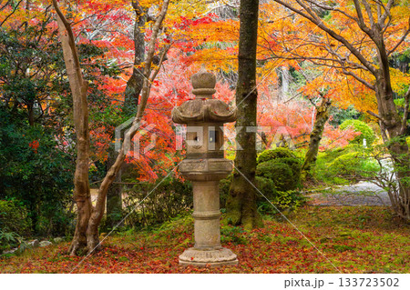 紅葉のある京都の風景 133723502