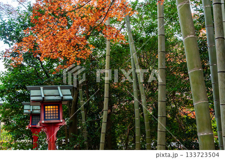 紅葉のある京都の風景 紅葉のある京都の風景 133723504