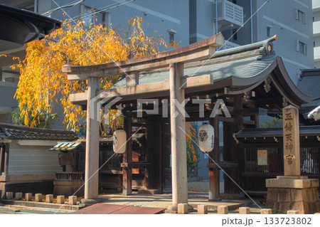 京都、五條天神宮 133723802