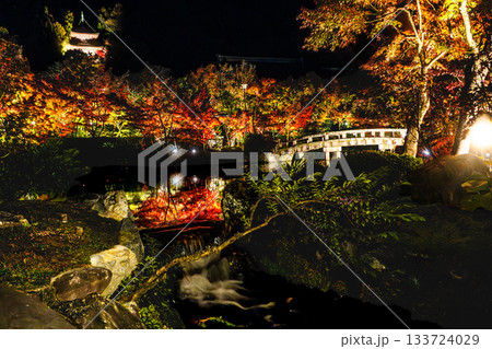 ライトアップされた京都の紅葉 133724029