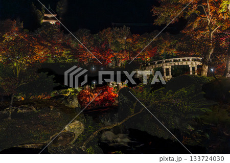 ライトアップされた京都の紅葉 ライトアップされた京都の紅葉 133724030