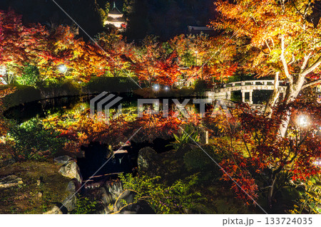ライトアップされた京都の紅葉 ライトアップされた京都の紅葉 133724035